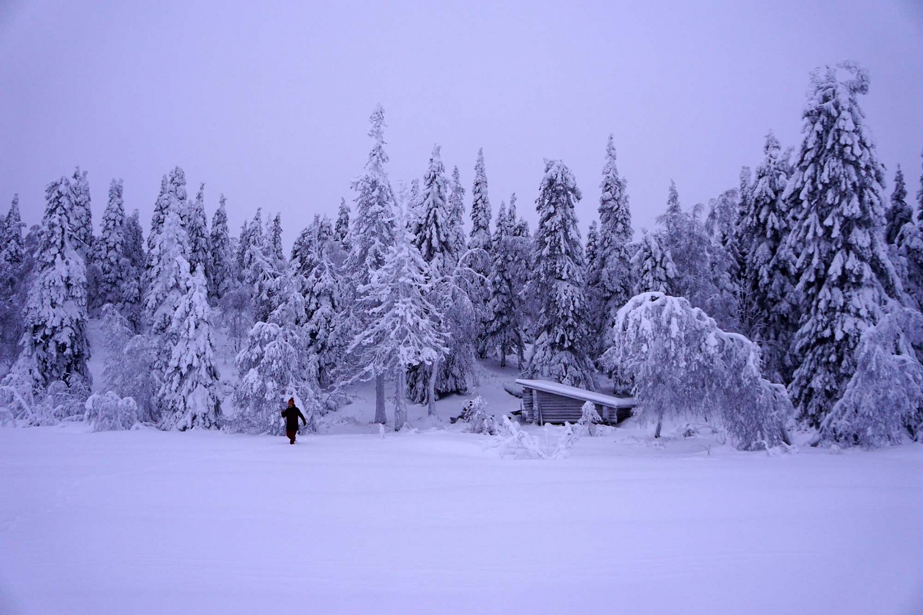 pWeiter-geht-es-uumlberkniehoch-durch-den-Schneenbspden-Wegnbspsuchendnbspin-einer-unwirklich-erscheinenden-Winterlandschaft-bis-zumnbspSee-Suolampnbspmit-Unterstandbr-br-quotDer-perfekte-letzte-Tag-in-Finnlandquotppemspan-stylecolor2980b9Mehr-von-und-uumlber-Hanna-Englernbspaufnbspspana-hrefhttpsverwanderwegencom-targetblankspan-stylecolor2980b9wwwverwanderwegencomspanaemp
