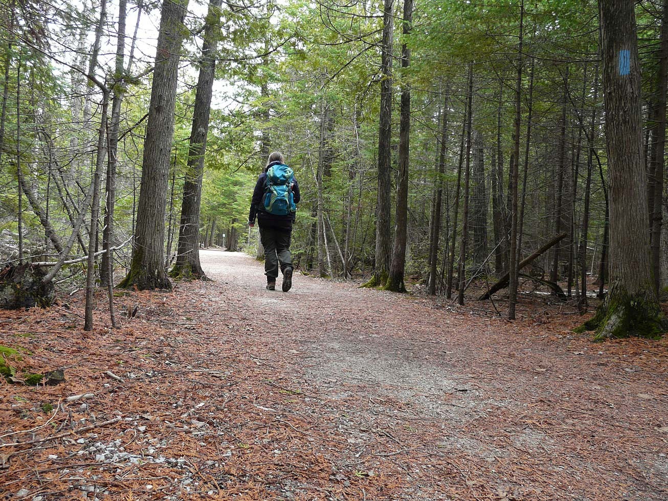 pDer-Bruce-Trail-fuumlhrt-auch-durch-den-Bruce-Peninsula-Nationalpark-bevor-das-Ziel-die-Stadt-Tobermory-erreicht-wird-Hier-sind-einige-Wege-breiter-angelegt-Ein-leichterer-Einstieg-in-dasnbsp156-qm-groszlige-Gebietnbspp