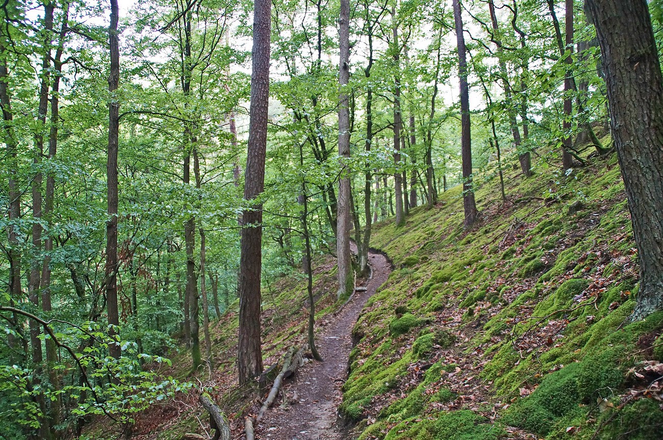 pRuhe-schmale-Pfade-und-Natur-pur-in-der-Baybachklamm-auf-dem-Saar-Hunsruumlck-Steig-Mehr-braucht-Harald-nicht-um-gluumlcklich-zu-seinnbspcopy-Harald-Schubertp
