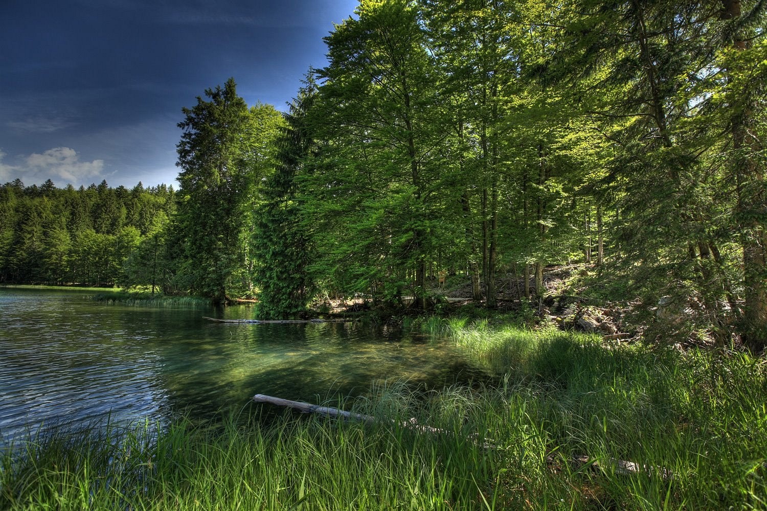 pspan-stylefont-size18pxspan-stylefont-familyTahomaGenevasans-serifDas-Ufer-des-Frillensees-bei-Inzellnbspcopy-Markus-Balkowspanspanp