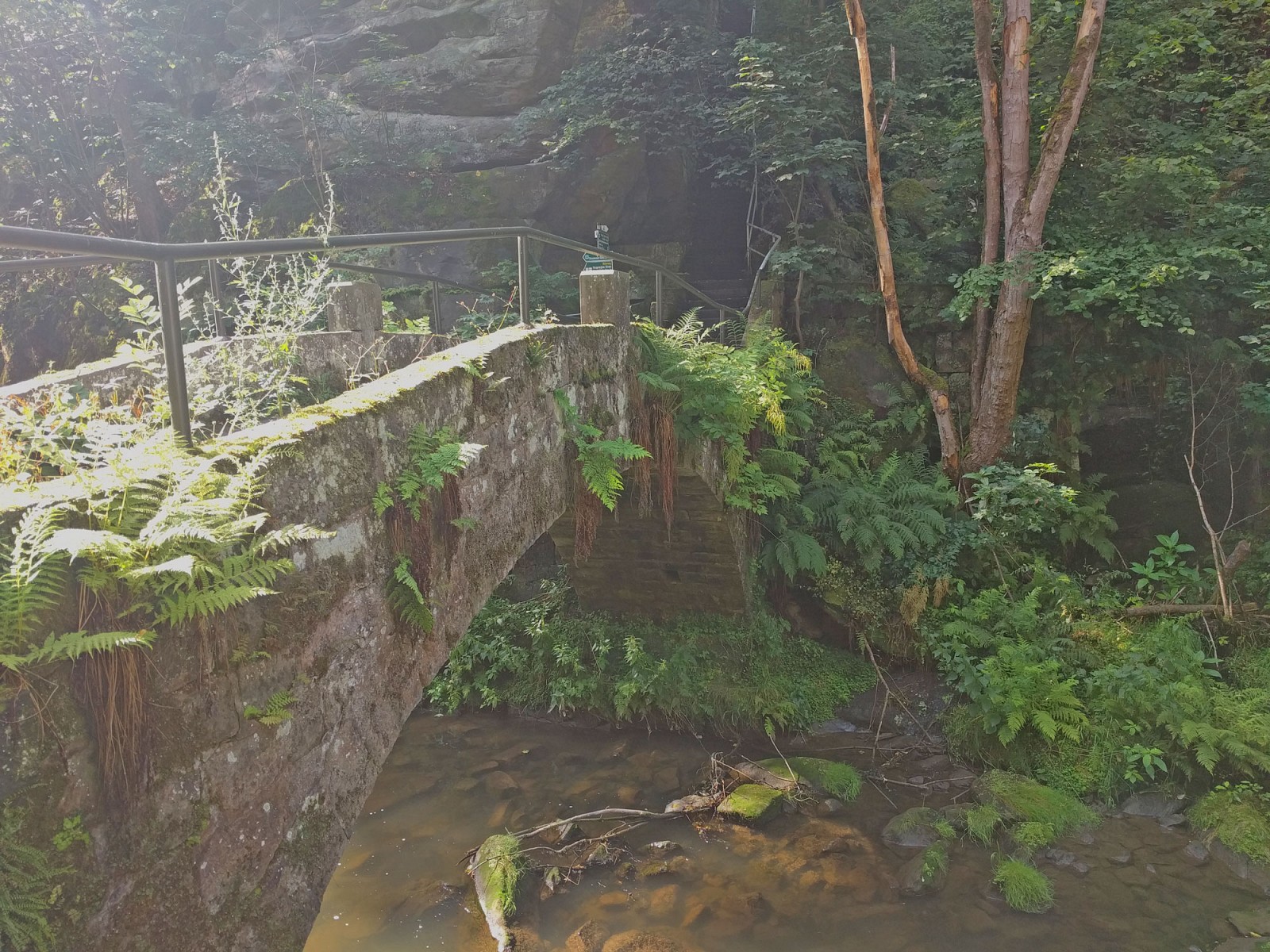 pFast-mystisch-wirken-die-ersten-Kilometer-auf-dem-Malerweg-durch-das-Liebethal-Der-Bus-bringt-uns-direkt-zum-Startpunkt-ca-25-Minuten-von-Pirna-entfernt-Wasser-plaumltschert-und-die-Sonne-strahlt-zwischen-dem-gruumlnen-Blaumltterdach-auf-uns-herunterp