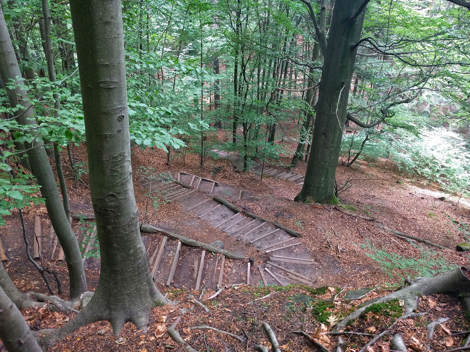 pUnd-so-sieht-ein-Standard-Abstieg-auf-dem-Malerweg-dann-aus-Diese-Stelle-findet-sich-zum-Ende-der-Treppenjagd-auf-Etappe-3-nach-der-Brand-Aussicht-Hier-gilt-es-uumlber-800-Stufen-zu-meistern-Hinweis-Es-geht-auch-uumlber-Stufen-wieder-hoch-nach-Waitzdorf--p