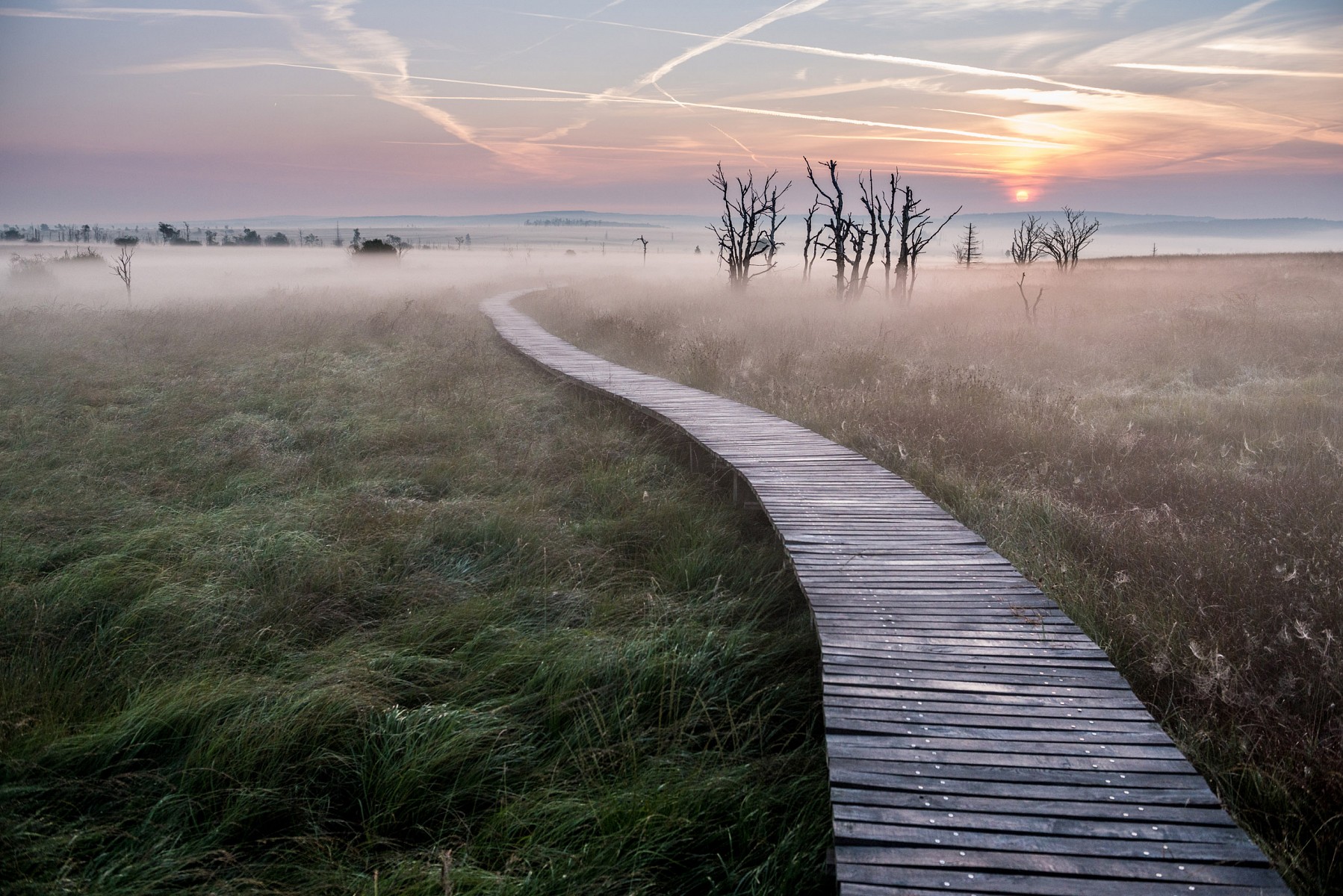 pMorgendaumlmmerung-im-Hohen-Venn-In-diesem-Hochmoor-sammelt-sich-das-Regenwasser-wie-in-einem-Schwamm-in-dennbspdicken-Torfschichten-und-flieszligt-in-Baumlchen-und-Fluumlssen-weiter-ins-Land-Eine-tolle-Wanderung-ist-z-B-die-9-km-lange-Groszlige-Vennrundenbspcopy-WBT-Dominik-Ketzp