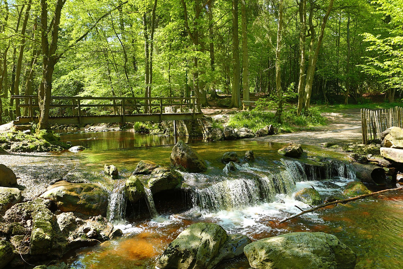 pDer-Wildbach-Hoeumlgne-entspringt-im-Hohen-Venn-Vor-den-Toren-der-Stadt-Spa-der-Mutter-aller-Kurorte-befindet-sich-der-Wanderwegnbspdurch-das-Tal-der-Hoeumlgne-eine-der-beliebtesten-Wanderungen-der-belgischen-Ardennenbr-copy-FTPL-P-Fagnoulp