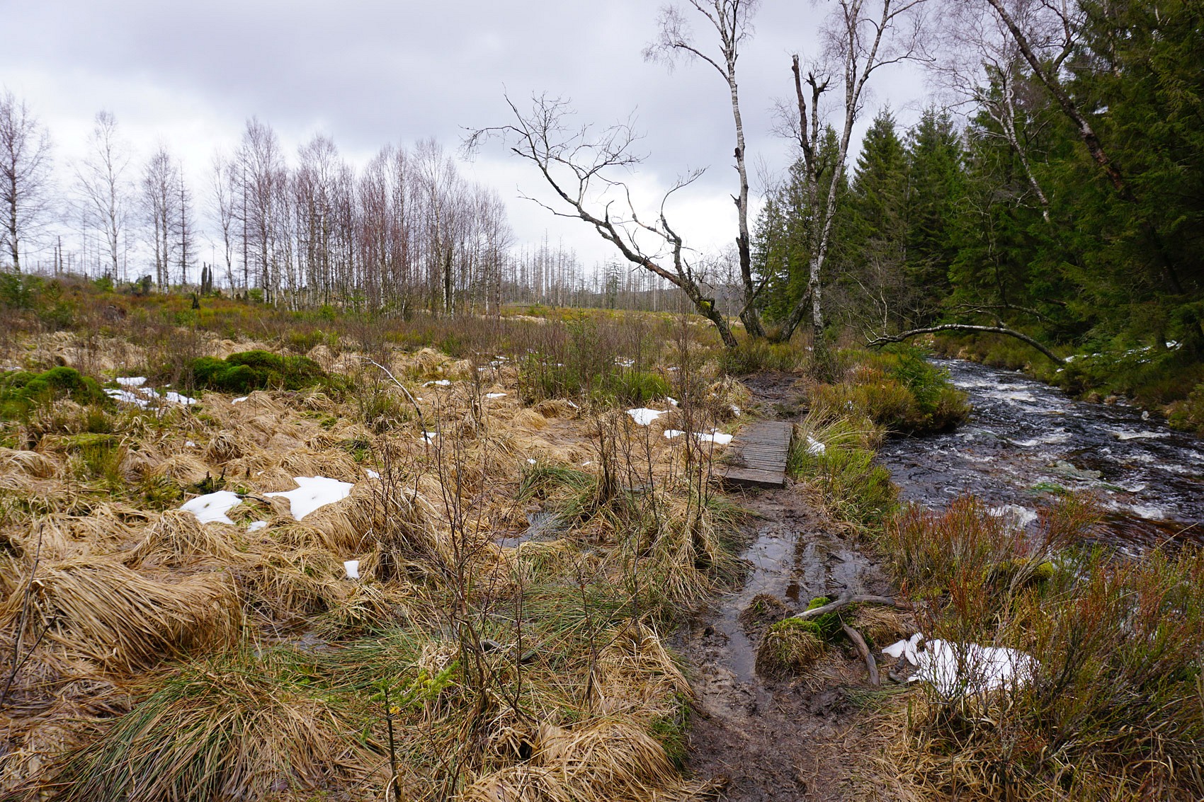 pDie-Bohlenwege-werden-immer-kuumlrzer-und-manchmalnbspist-schwer-zu-erkennen-wo-der-Fluss-aufhoumlrt-Meine-Fuumlszlige-sind-bereits-nassp