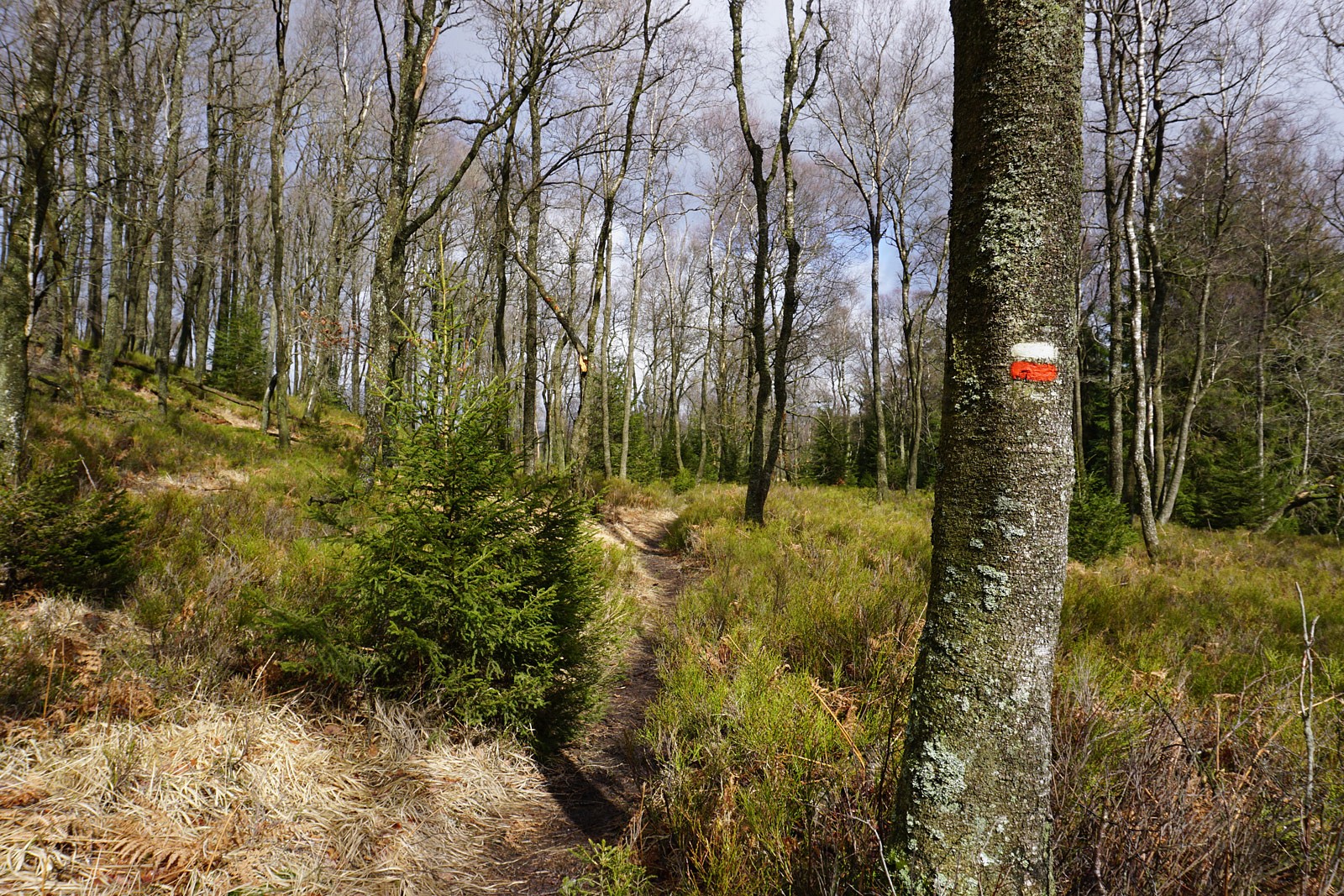 pEndlich-geht-esnbspeinnbsppaar-Meter-aufwaumlrts-weg-vom-Fluss-und-die-Sonne-scheint-Selten-habe-ich-mich-so-sehr-uumlber-ihre-warmen-Strahlen-gefreutp