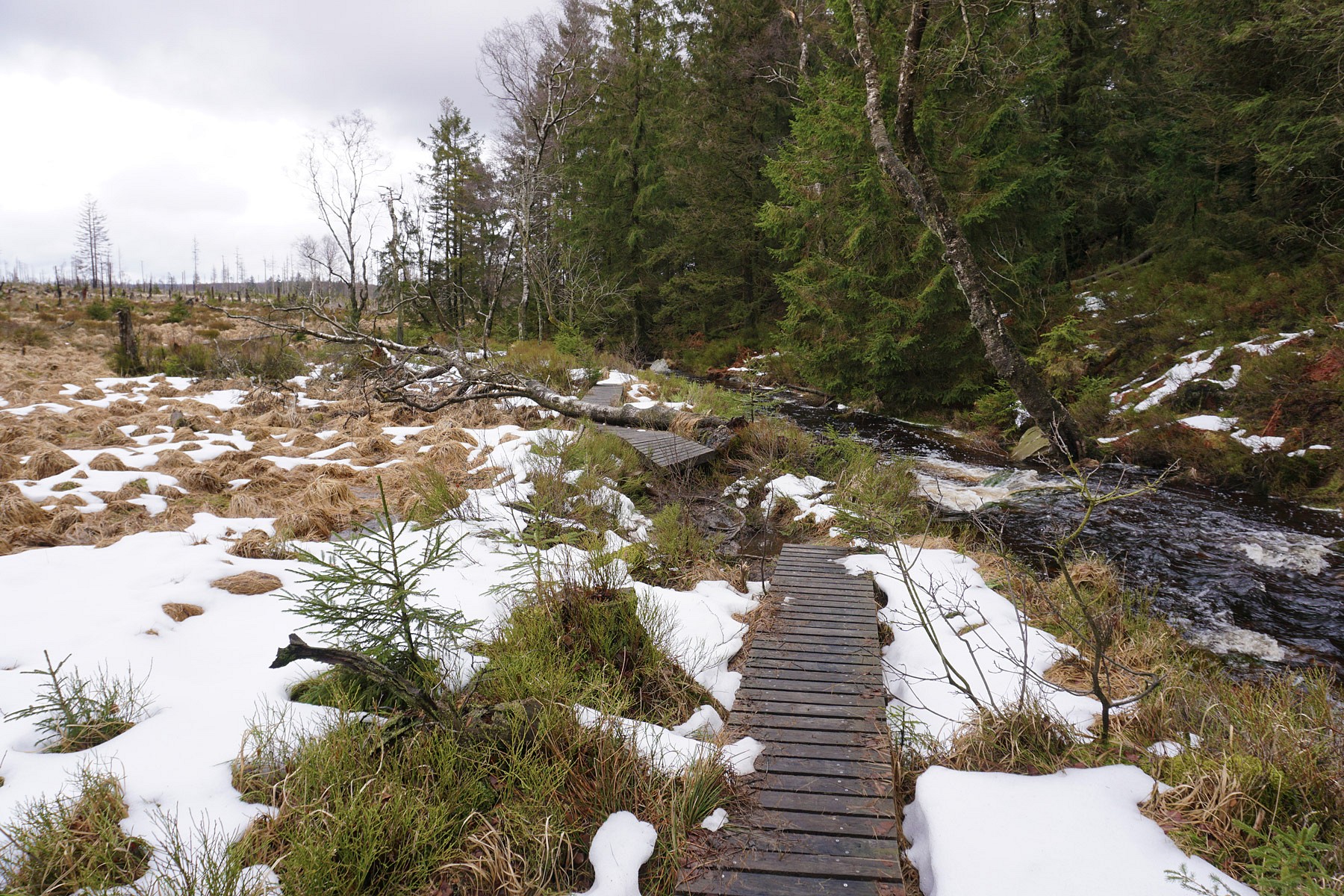 pDoch-langsam-wird-mir-bewusst-welchen-Einfluss-die-Naturnbspauf-die-Beschaffenheit-von-Wanderwegen-haben-kann-Erste-Zweifel-kommen-auf-Haumltte-ich-diesen-Weg-uumlberhaupt-zu-dieser-Jahreszeit-gehen-sollenp