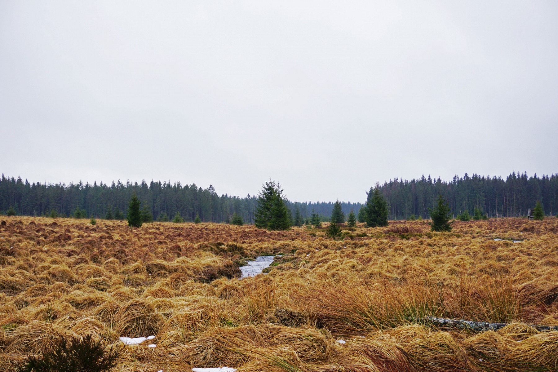 pMeine-Wanderung-im-Maumlrz-2020-entlang-der-25-km-langen-Hillnbspwurde-etwas-abenteuerlicher-als-geplant-Als-ich-am-Morgen-losging-war-das-Hochmoor-in-graue-Wolken-gehuumllltbr-Alle-Fotos-copy-Svenja-Walterp