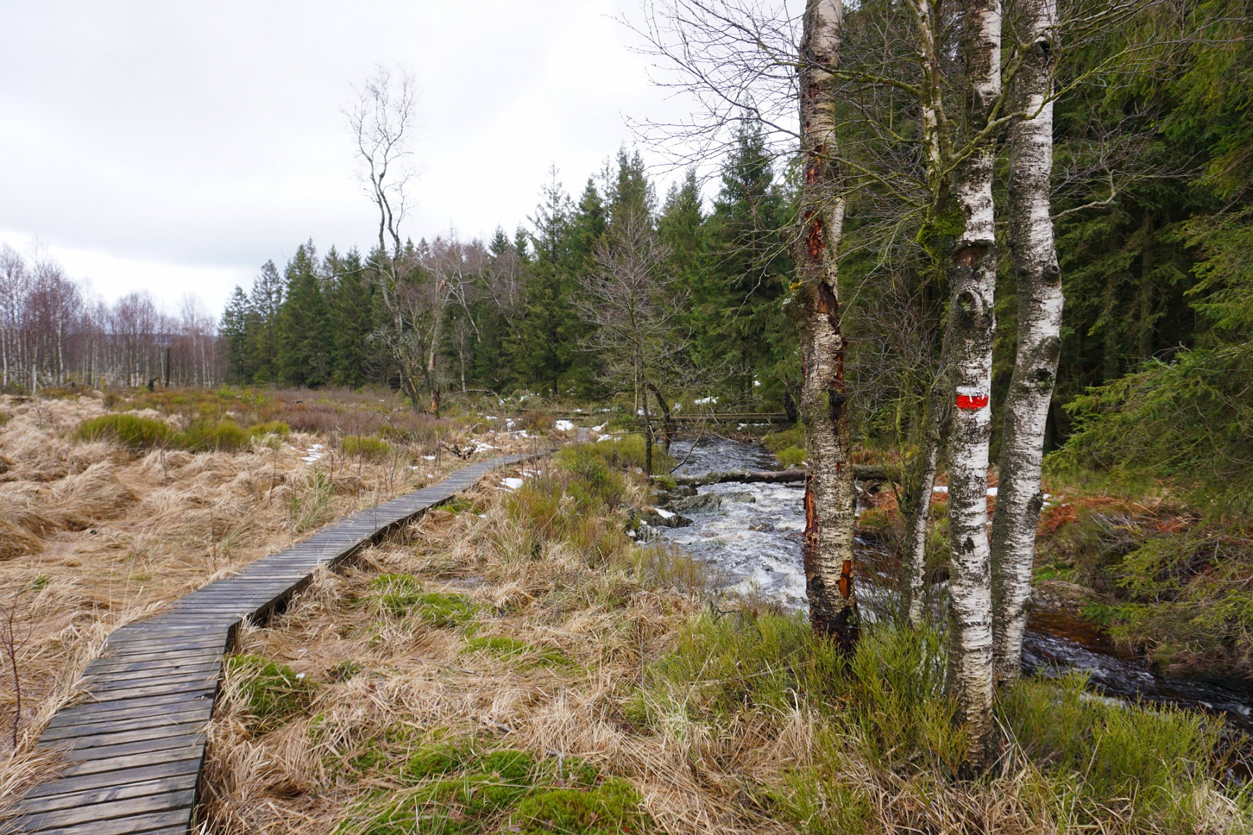 pIch-bin-berauscht-von-der-wilden-Landschaft-um-mich-herump