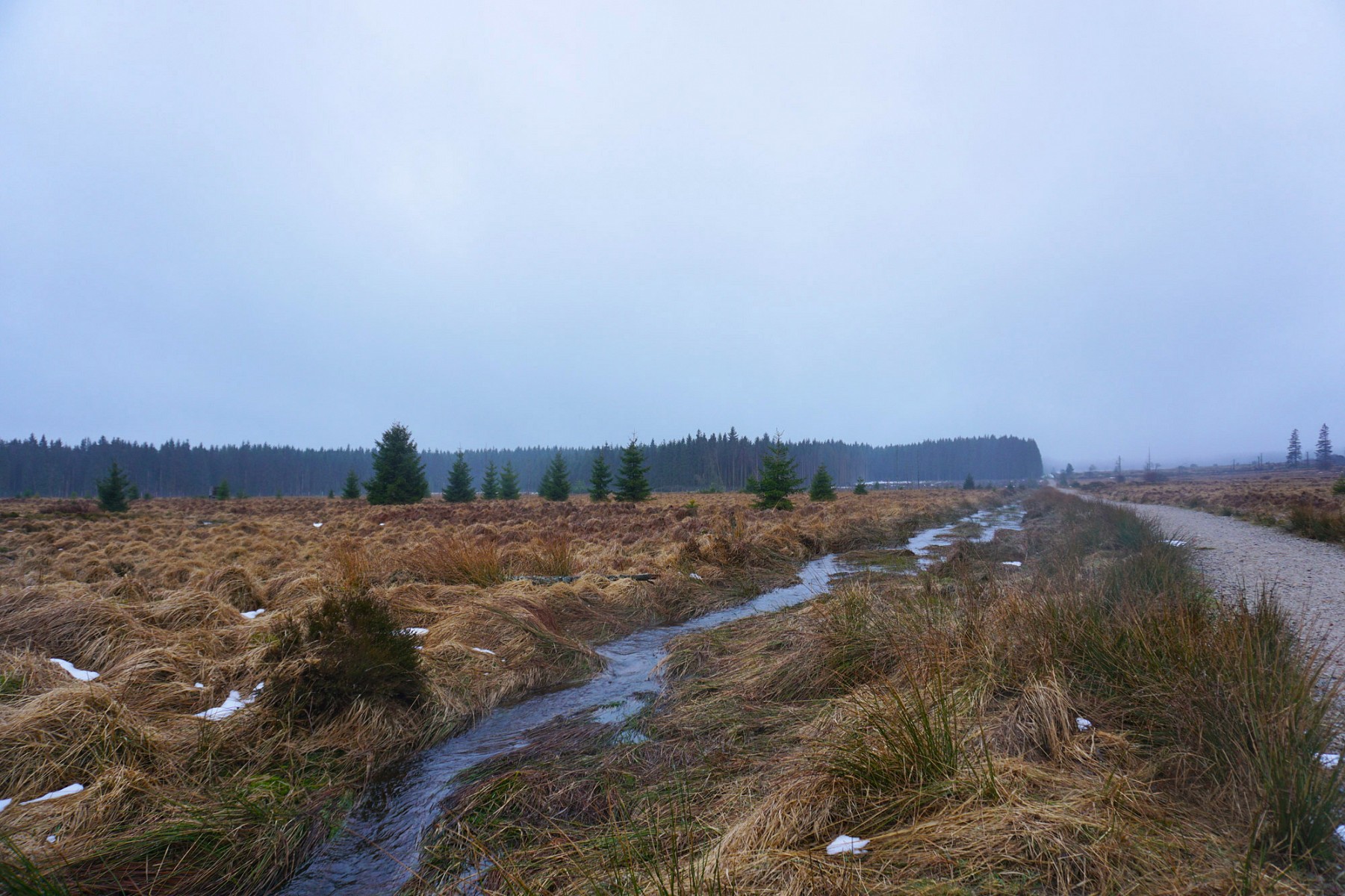 pMeine-Etappe-auf-dem-GR573-startet-mit-einer-3-km-langen-Gerade-Hier-ein-Ruumlckblick-auf-meinen-im-Nebel-liegenden-Startpunkt-Signal-de-Botrange-dennbsphoumlchsten-Punkt-Belgiensp