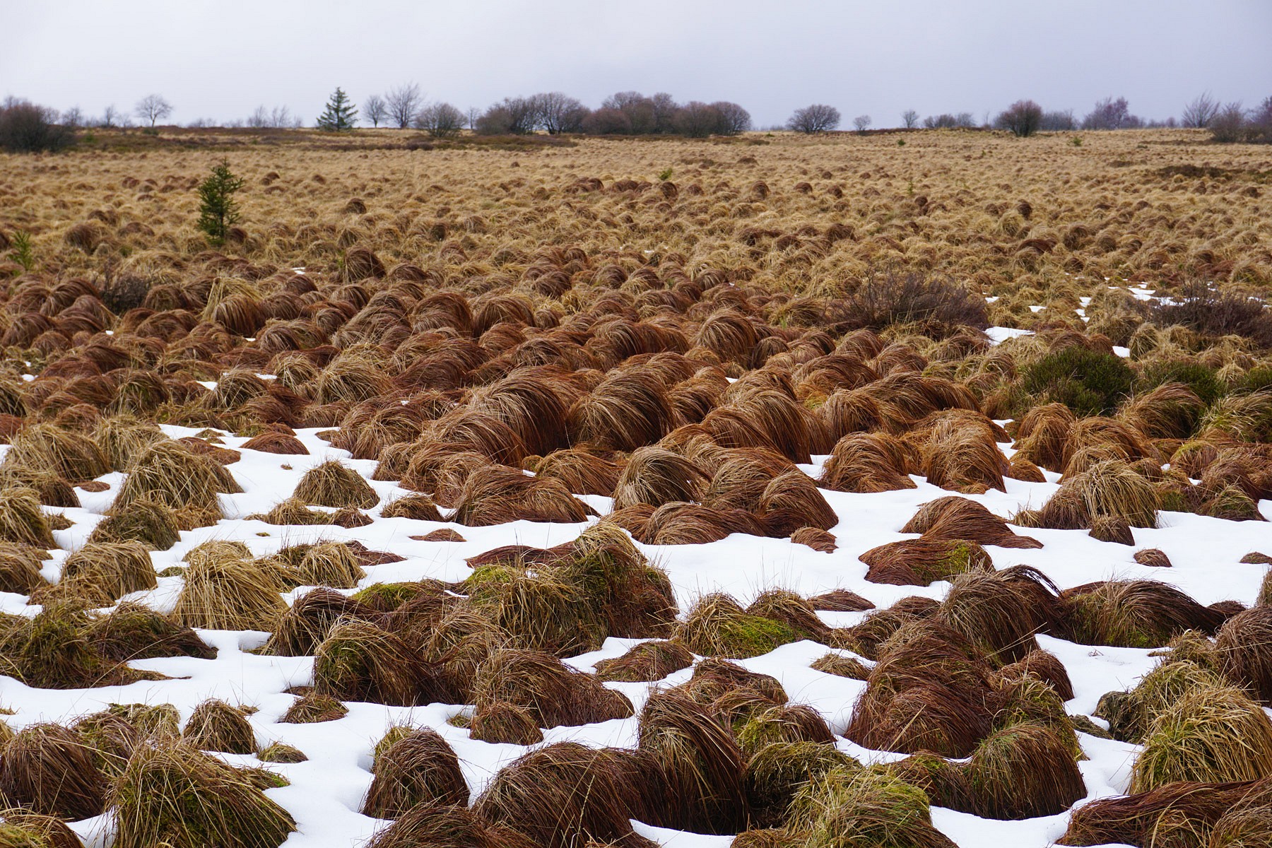 pDer-letzte-Schnee-schmilzt-geradenbspp