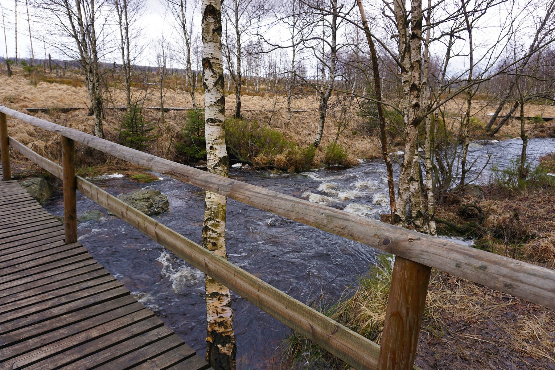 pNach-ca-5-km-erreiche-ich-dienbspHill-die-zu-einem-fast-wilden-Fluss-geworden-ist-Sie-wird-von-nun-an-meine-Wegbegleiterin-sein-Kein-Mensch-ist-mir-hier-begegnetp