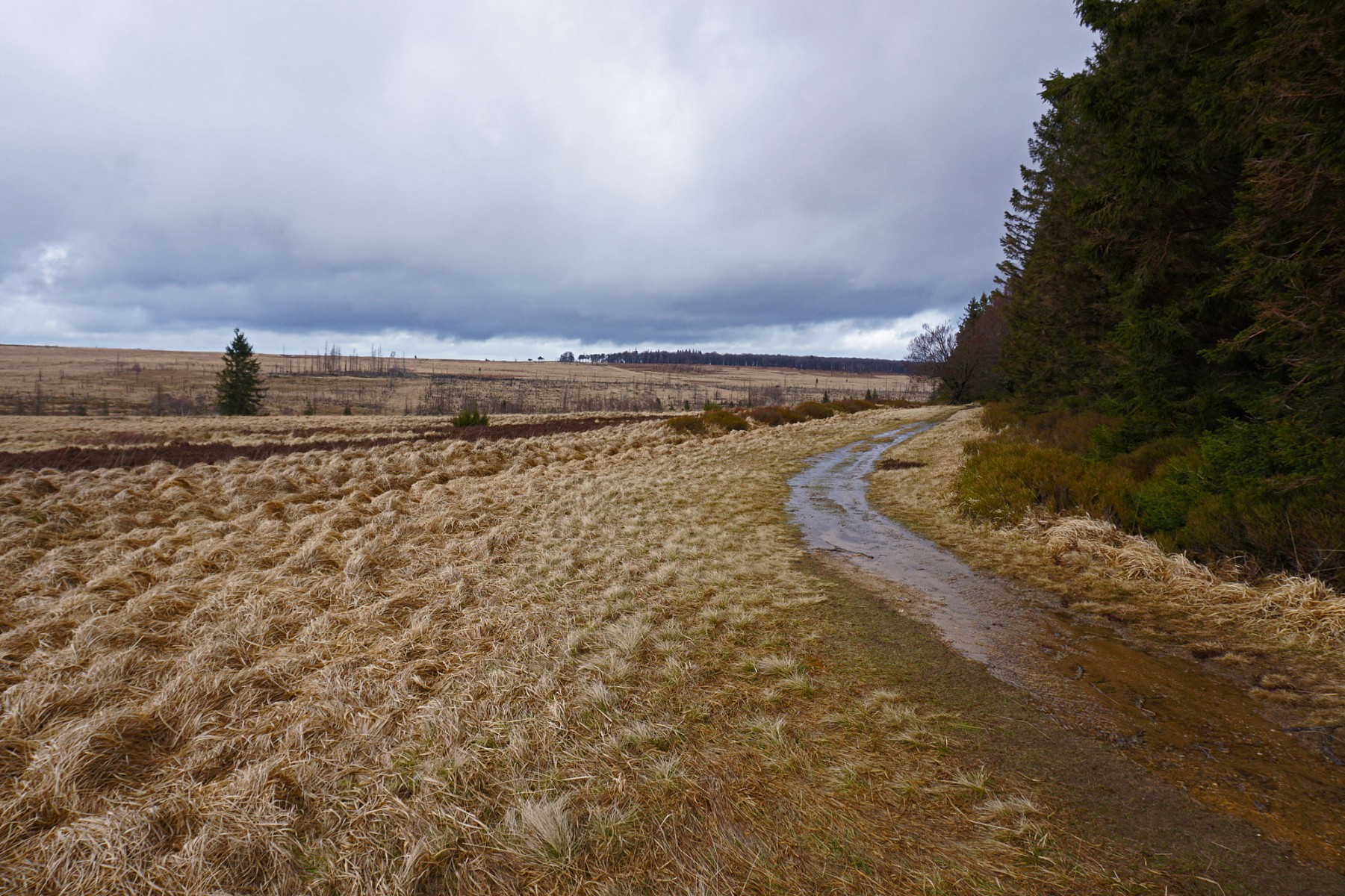pDas-Wasser-sucht-sich-seinen-Weg-manchmal-auch-auf-demnbspWanderwegp