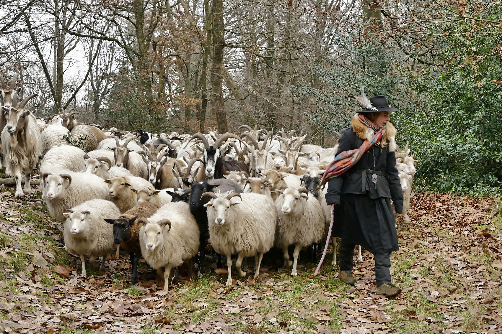 pbdquoDie-Wanderschaumlferinldquo-E1-in-Deutschlandbr-Karl-Goldhamerbr-Nominiert-in-der-Kategorie-emTier-amp-Naturembr-Alle-Fotos-aus-dem-Wettbewerb-findet-Ihrbr-aufnbspa-hrefhttpse1r1-photoawardeuawardgewinner-2021-targetblankwwwe1r1-photoawardeuap