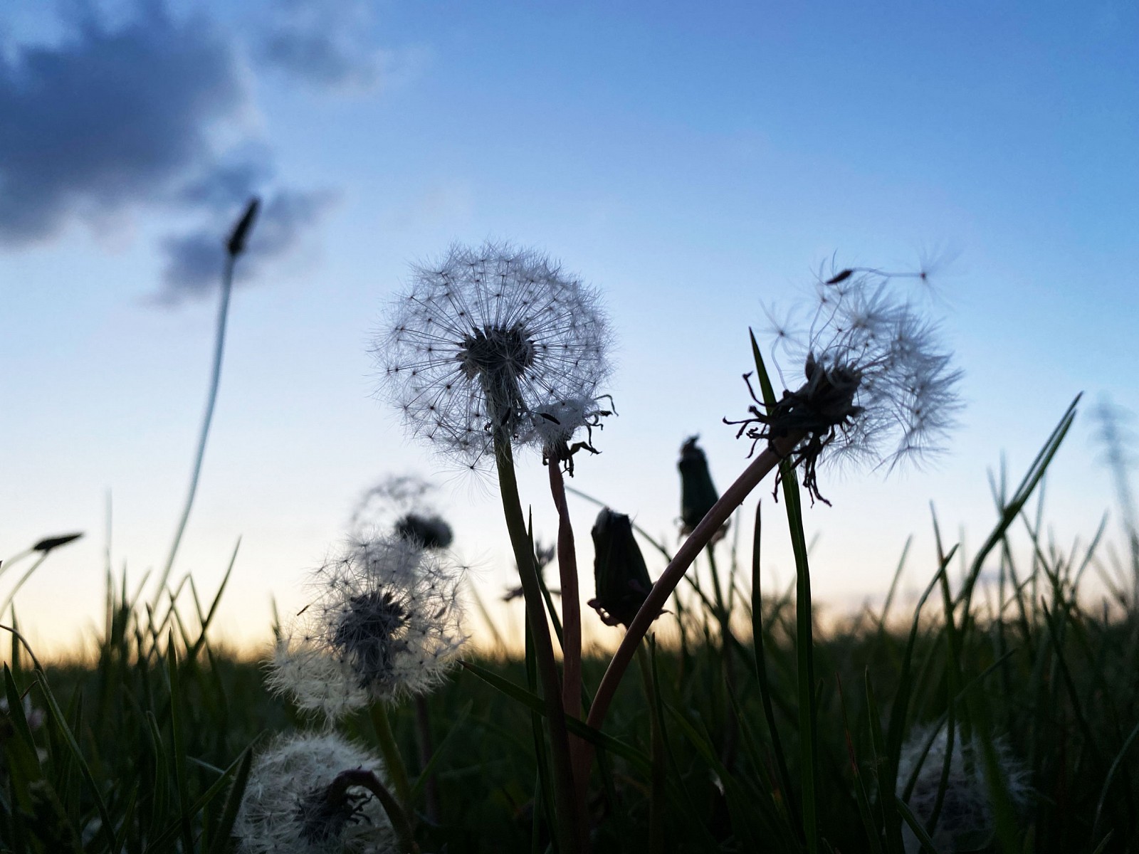 pspan-stylefont-familyGeorgiaserifZwischen-Feldern-und-Obstplantagen-ist-auf-einmal-Zeit-fuumlr-die-kleinen-Momente-fuumlr-Traumlumereien-und-fuumlr-neue-Blickwinkelspanp