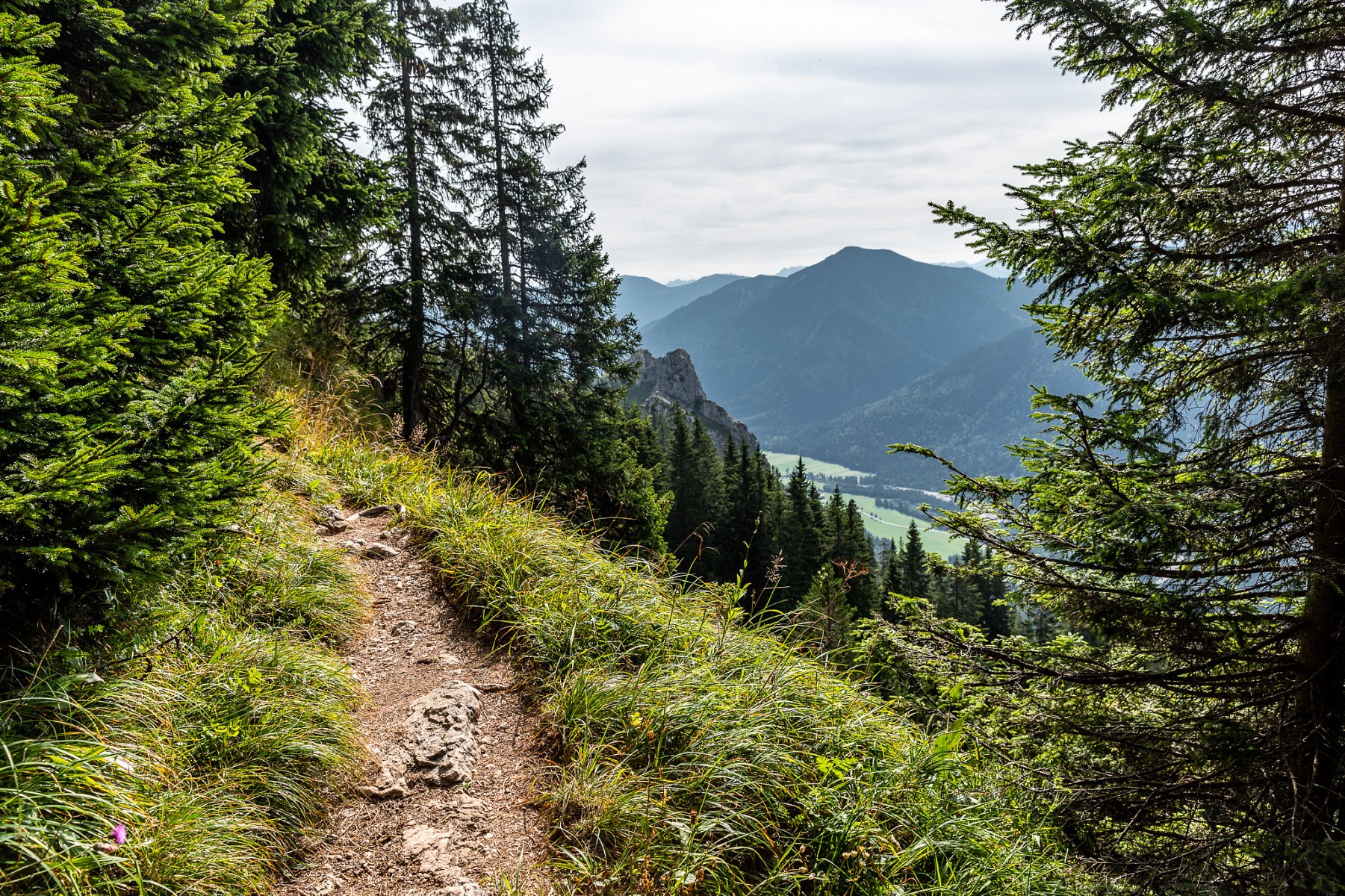 pNach-einer-Etappe-durch-einsame-Waumllder-wandern-wir-nun-ein-Stuumlck-auf-dem-Maximiliansweg-durch-den-NaturparknbspAmmergauer-Alpen-ndash-vom-Schloss-Linderhof-im-Graswangtal-bis-nach-Unterammergaunbspp