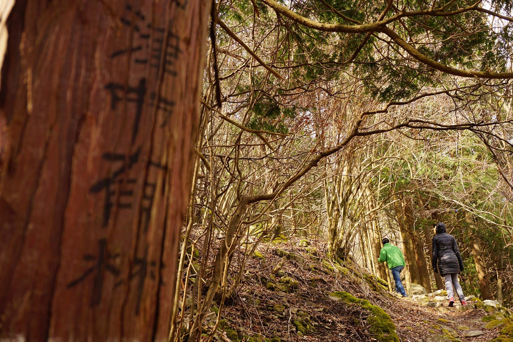 pspan-stylecolornullBeim-Shinrin-Yoku-dem-39Bad-im-Wald39-spielt-das-langsame-bewusste-Gehen-im-Wald-eine-zentrale-Rollespanp