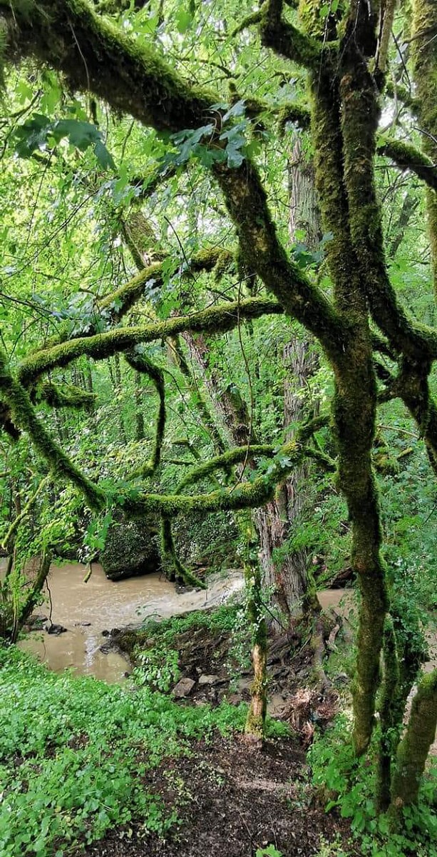 pspan-stylefont-size18pxspan-stylefont-familyTahomaGenevasans-serifIm-Helterbachtal-auf-dem-Moselsteig-Seitensprung-quotWehrer-Rosenbergquotnbspcopy-Alan-Courtoisspanspanp