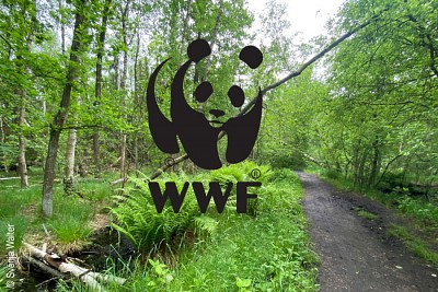 WWF-Spendenaktion