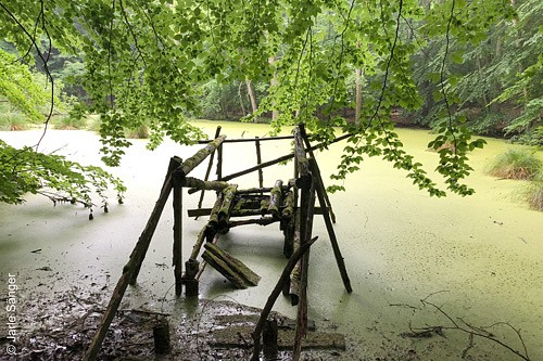 Ein kaputter Holzsteg in einem grünen Gewässer
