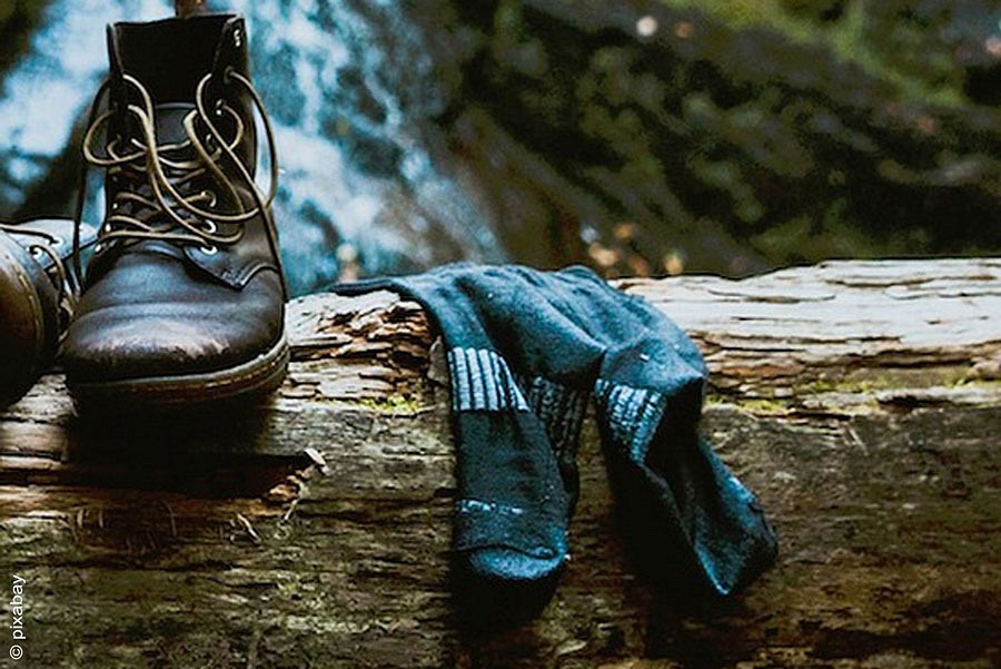 Wanderschuhe und Socken auf einem Baumstamm