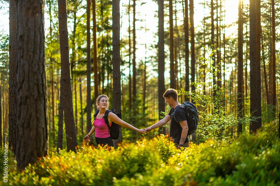 Eine Frau im Wald nimmt einen Mann an die Hand