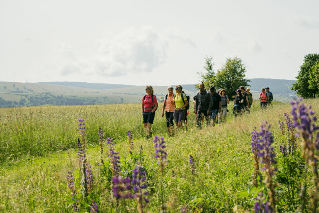 Eine Wandergruppe wandert durch eine Wiese mit hohem Gras.