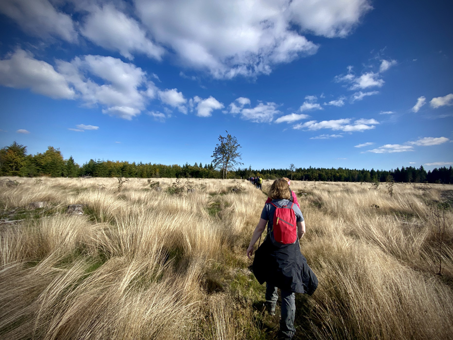 Frau wandert durch hohes hellbraunes Grad vor blauem Himmel
