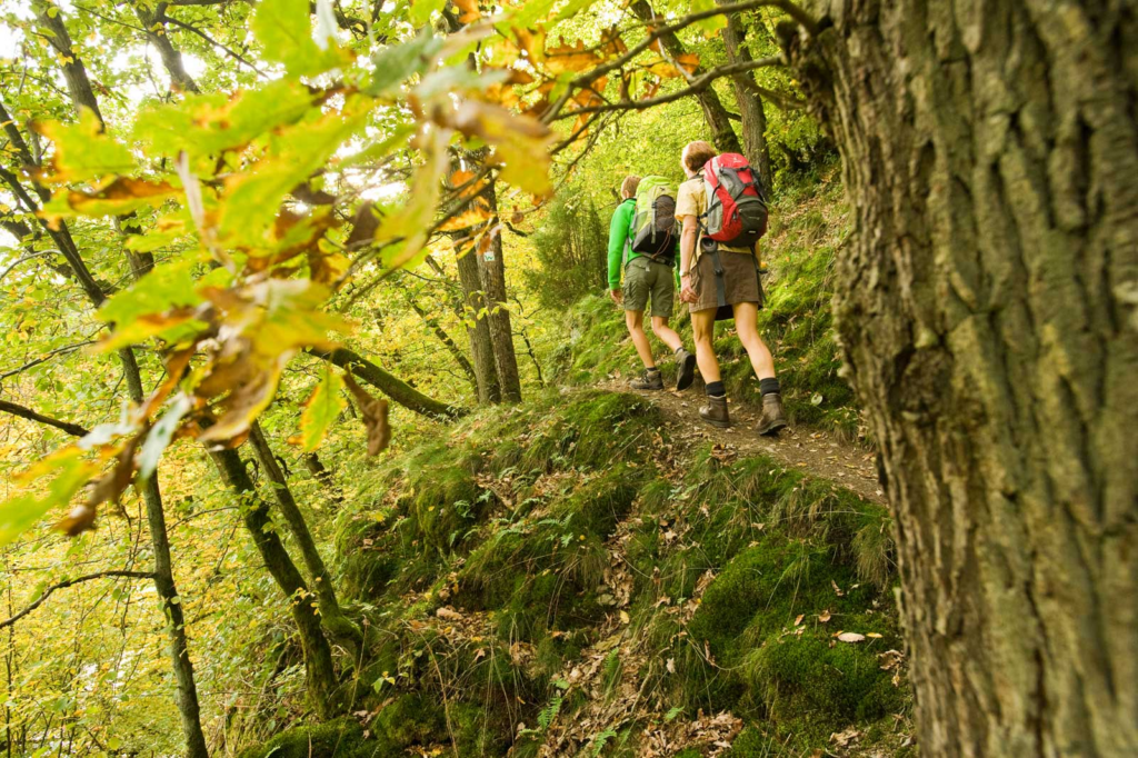 Zwei Wandernde, fotografiert durch das Blattwerk eines Baumes, gehen über einen schmalen Pfad an einem mit Moos bewachsenen Hang.
