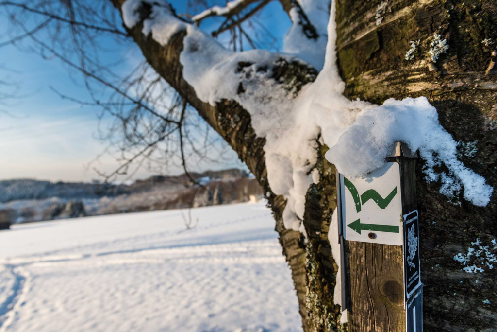 Eine Wegmarkierung vor einem Baum in verschneiter Winterlandschaft