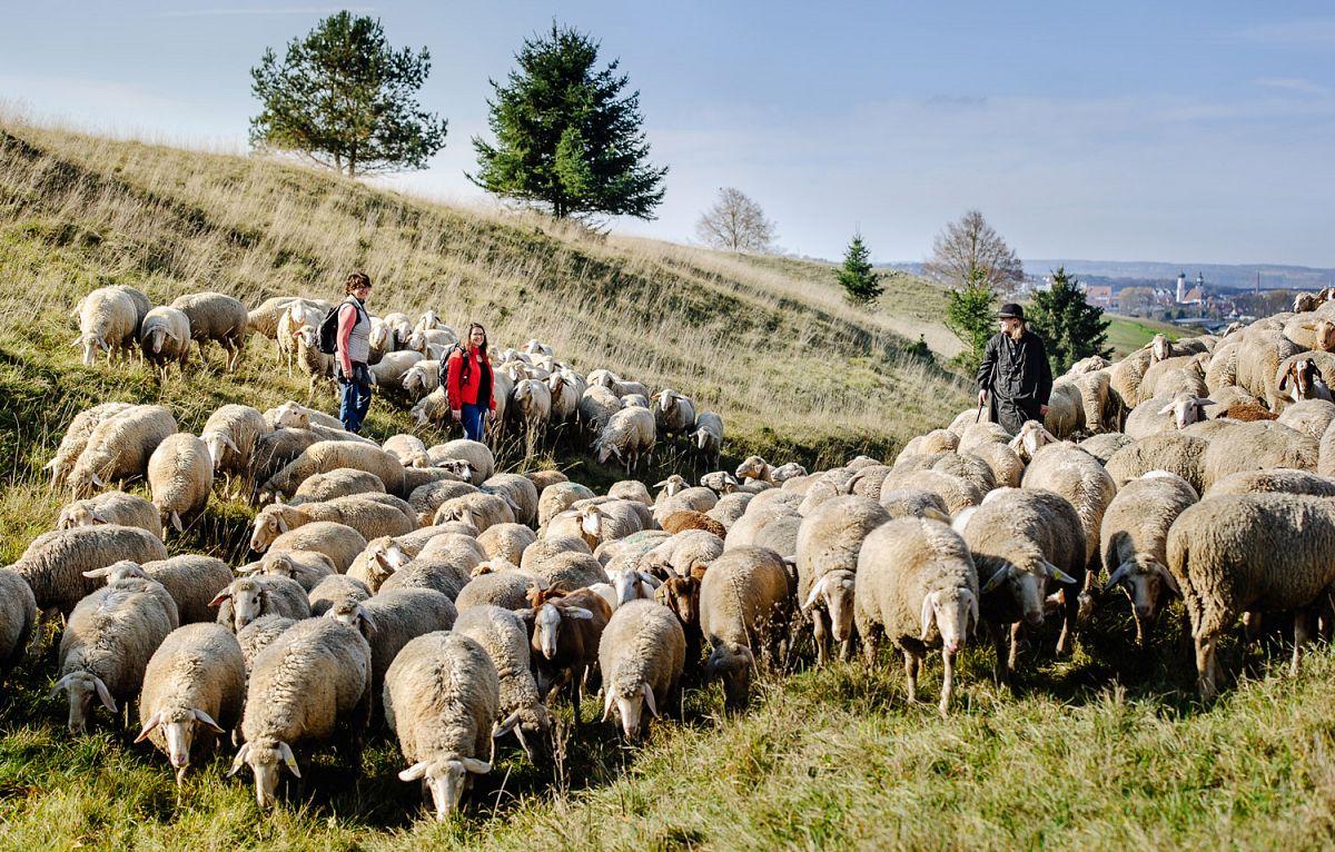 Albschäferweg