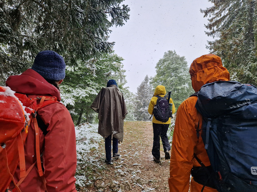 Blick von hinten auf vier Personen mit Rucksack, Regenjacke oder Poncho auf einem Wanderweg