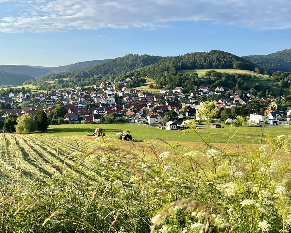 Grüne Felder breiten sich vor einer Ortschaft aus, im Hintergrund bewaldete Hügel