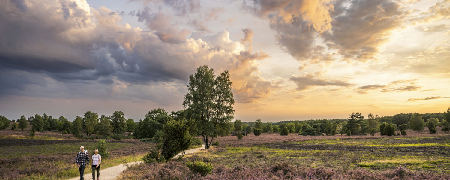 Zwei Wandernde in einer weiten offenen Heidelandschaft vor ebenso weitem Abendhimmel