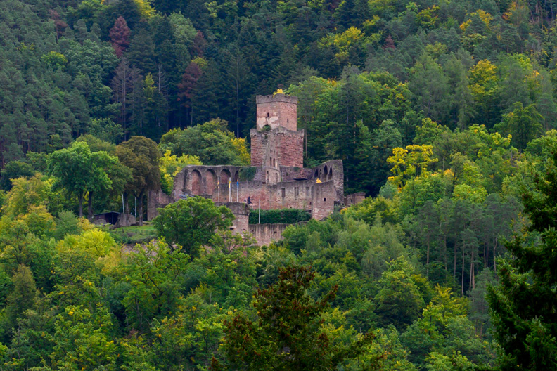 Blick auf eine Burgruine an einem bewaldeten Hang