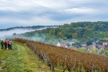 Nebel über einem Tal mit Dorf und Weinberg, am Rand eine kleine Wandergruppe