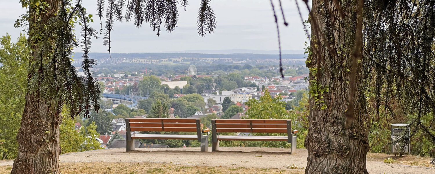 Zwei Bänke zwischen Bäumen an einem Aussichtspunkt über der Stadt