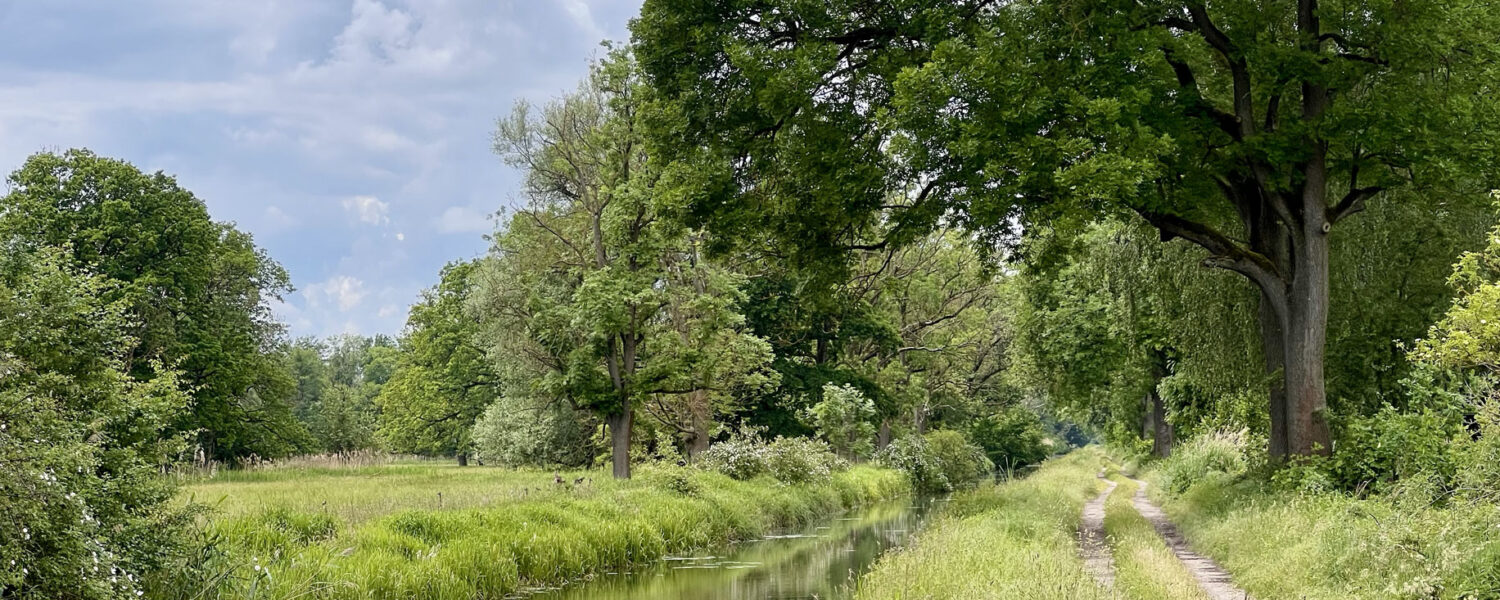 Ein schmaler Wanderpfad führt an einem Kanal entlang