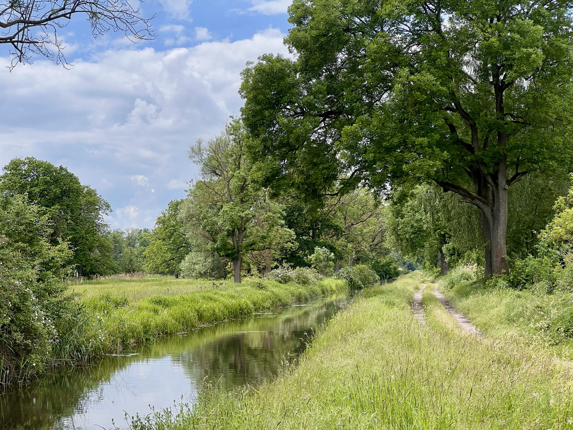 Ein schmaler Wanderpfad führt an einem Kanal entlang