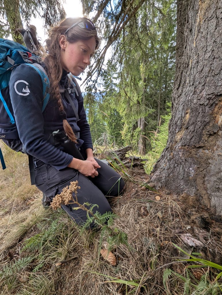 Frau kniet im Wald vor einem Baumstamm