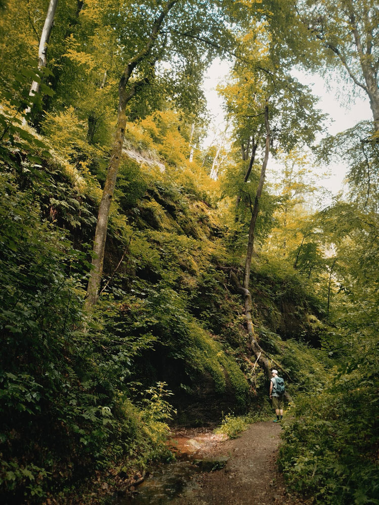 Eine Person im Wald vor einem dicht bewachsenen Hang