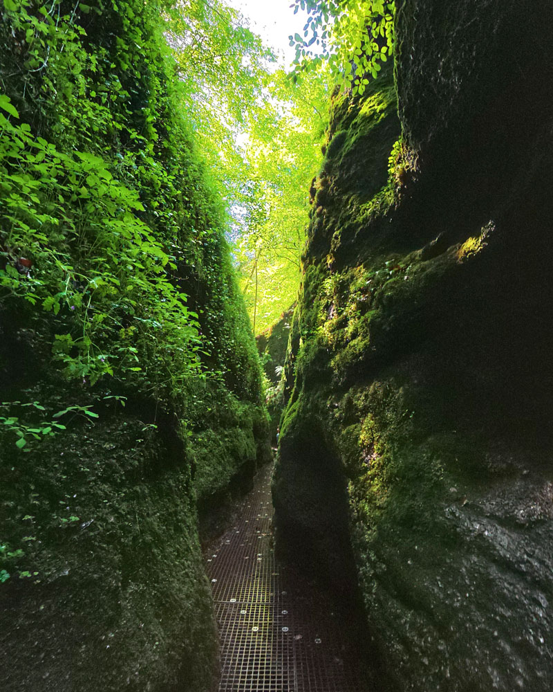 Senkrechte Felswände bilden eine schmale Gasse