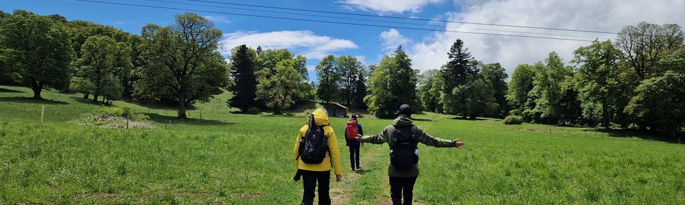 Drei Wandernde auf einem Feldweg, einer hat die Arme weit ausgebreitet.