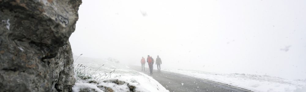 web_DSC08893_Chasseral_SW