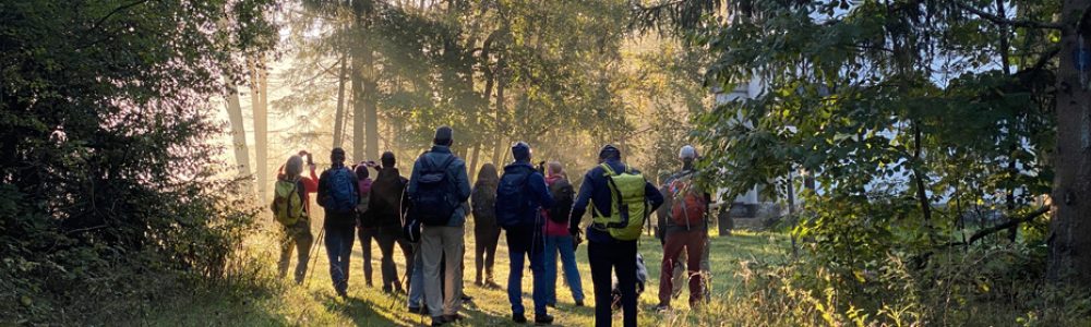 Eine Gruppe Menschen im lichtdurchfluteten Wald