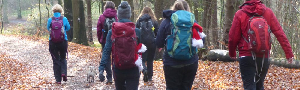 Eine Wandergruppe auf einem Wanderweg