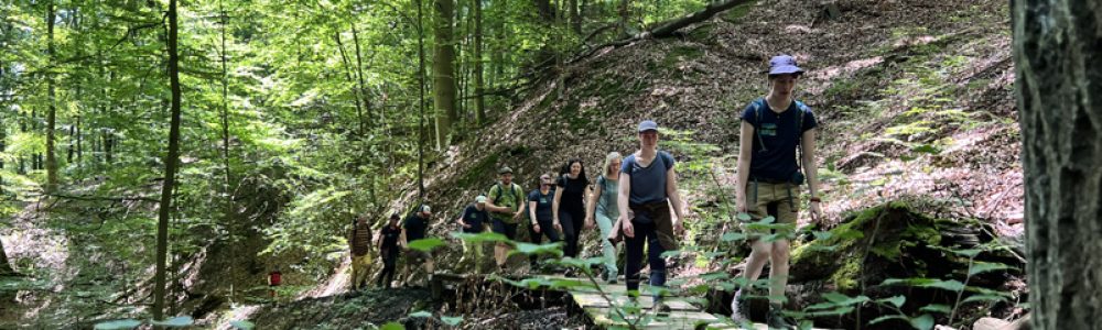 Eine Wandergruppe kommt in einer Reihe über einen schmalen Weg im Wald